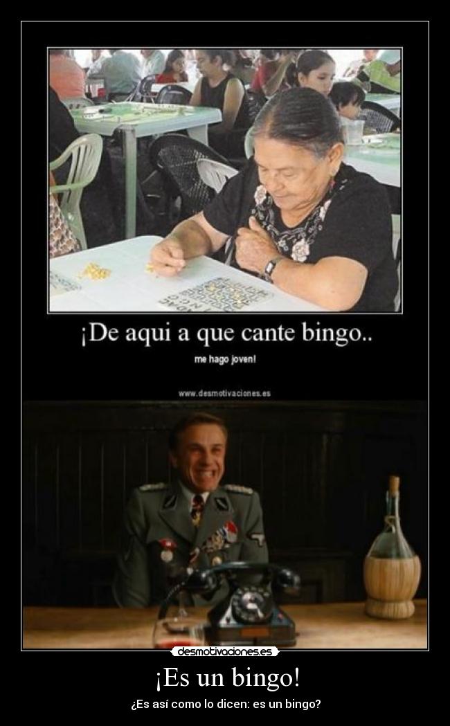 ¡Es un bingo! -