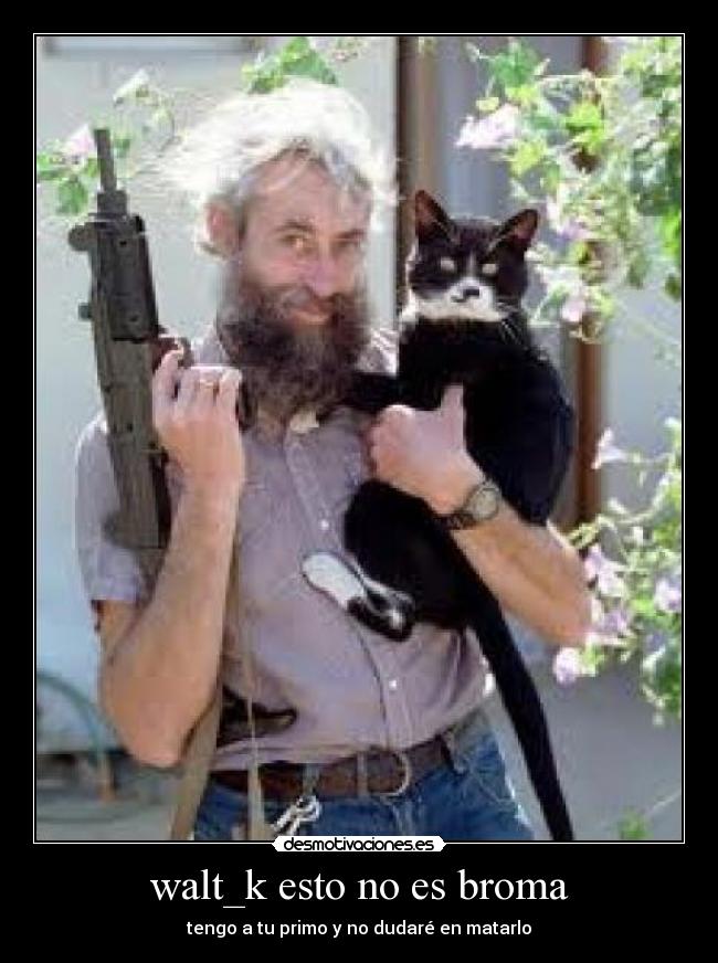 carteles bin laden desmotivaciones