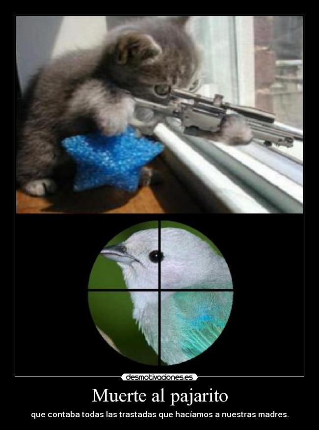 Muerte al pajarito -