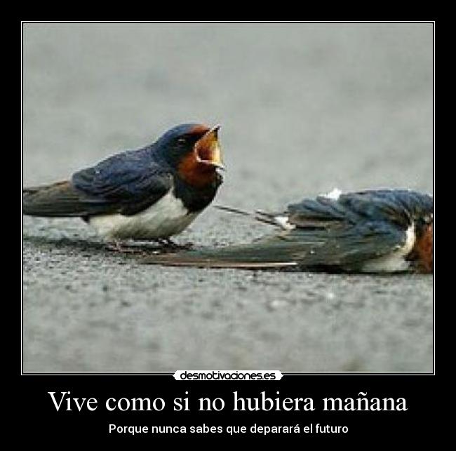 carteles 4567 desmotivaciones