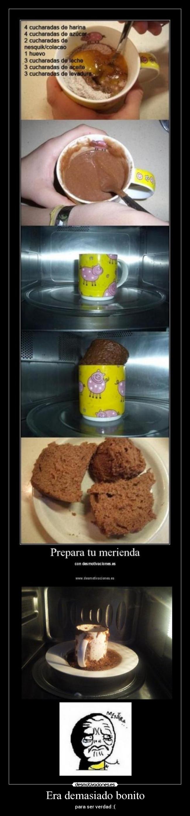 Era demasiado bonito -