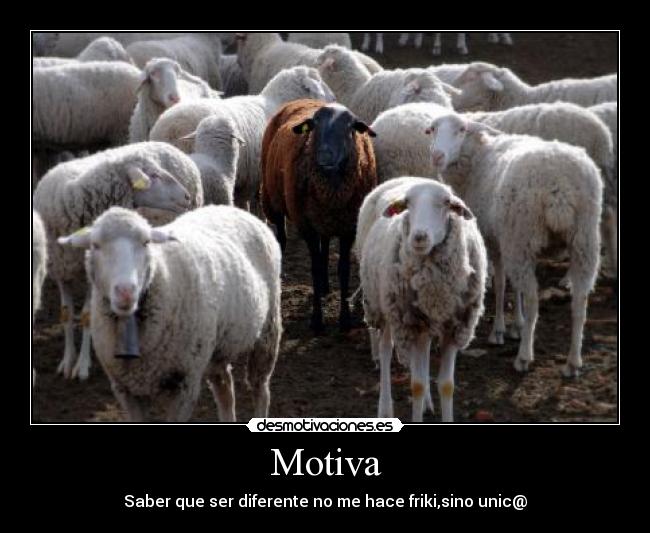 Motiva -