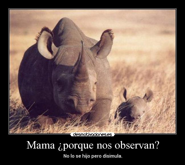 Mama ¿porque nos observan? - 