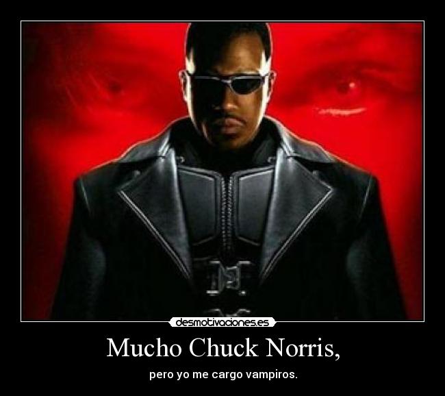 Mucho Chuck Norris, -