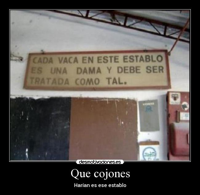 Que cojones - Harían es ese establo
