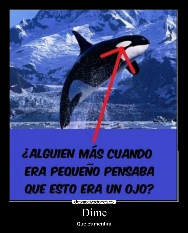 Dime - Que es mentira