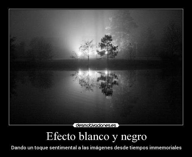 carteles blanco negro desmotivaciones