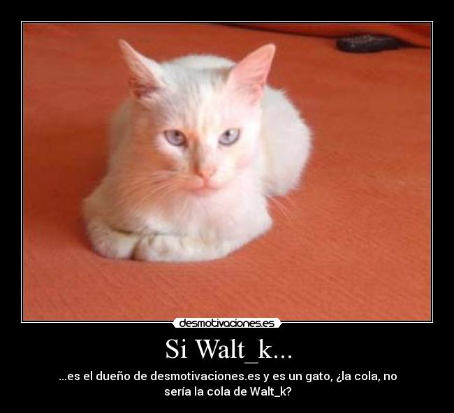 Si Walt_k... - ...es el dueño de desmotivaciones.es y es un gato, ¿la cola, no sería la cola de Walt_k?