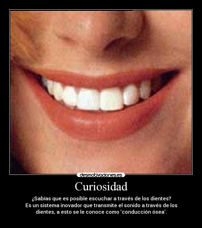 Curiosidad - 