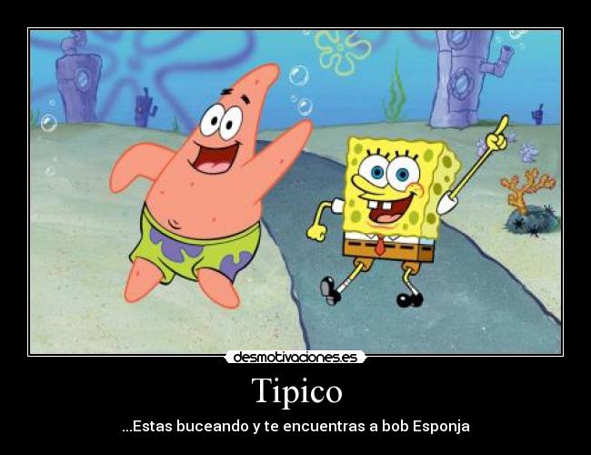 carteles bob esponja desmotivaciones