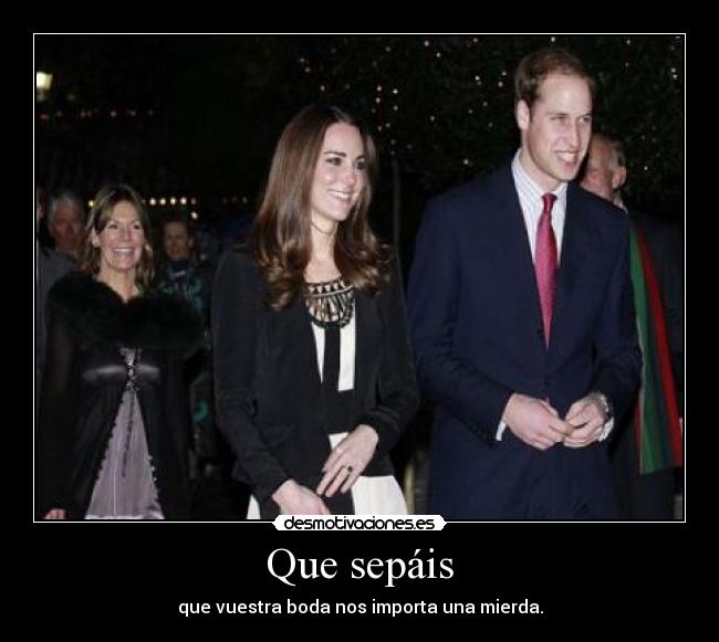 carteles boda real guillermo kate desmotivaciones