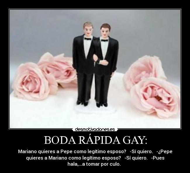 BODA RÁPIDA GAY: - 