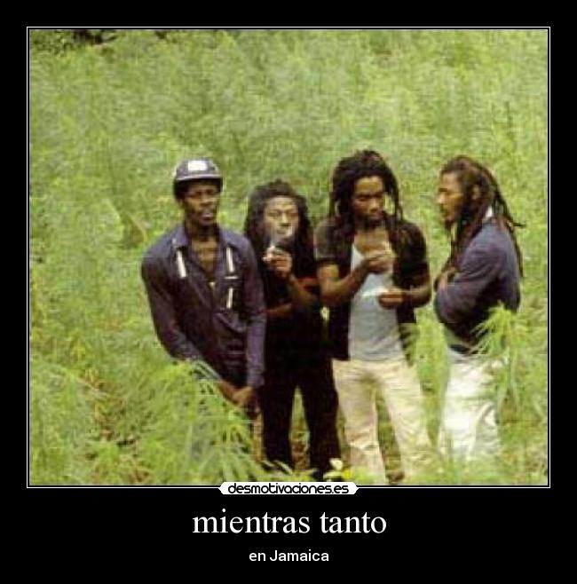 carteles marihuana desmotivaciones