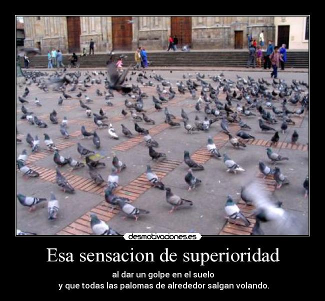 Esa sensacion de superioridad - al dar un golpe en el suelo
y que todas las palomas de alrededor salgan volando.