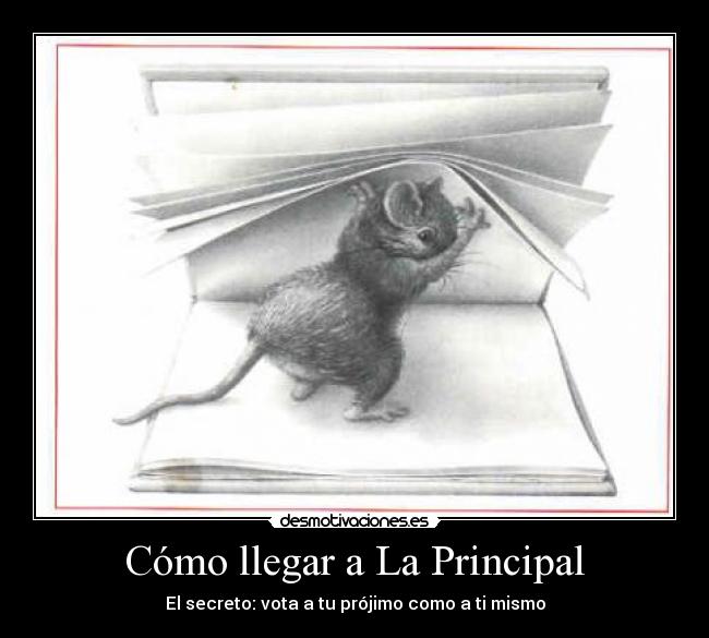 Cómo llegar a La Principal - El secreto: vota a tu prójimo como a ti mismo