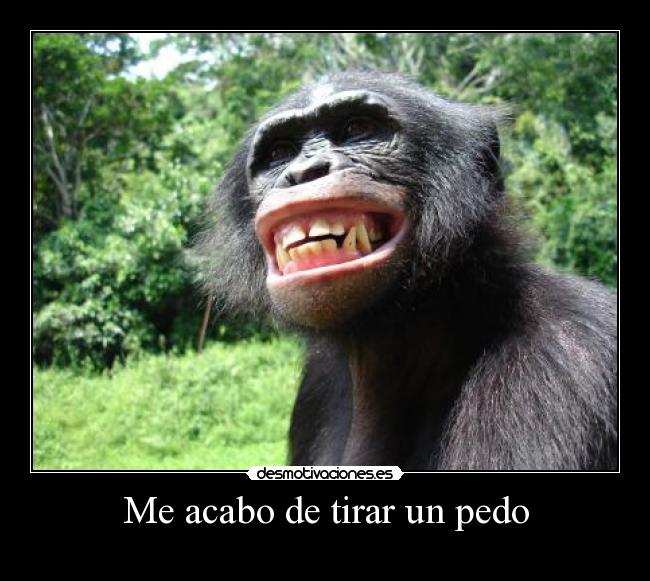 Me acabo de tirar un pedo -