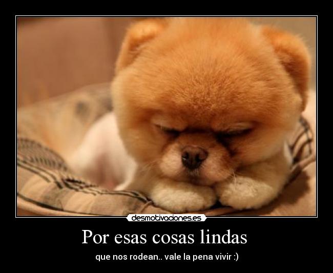 Por esas cosas lindas  - 