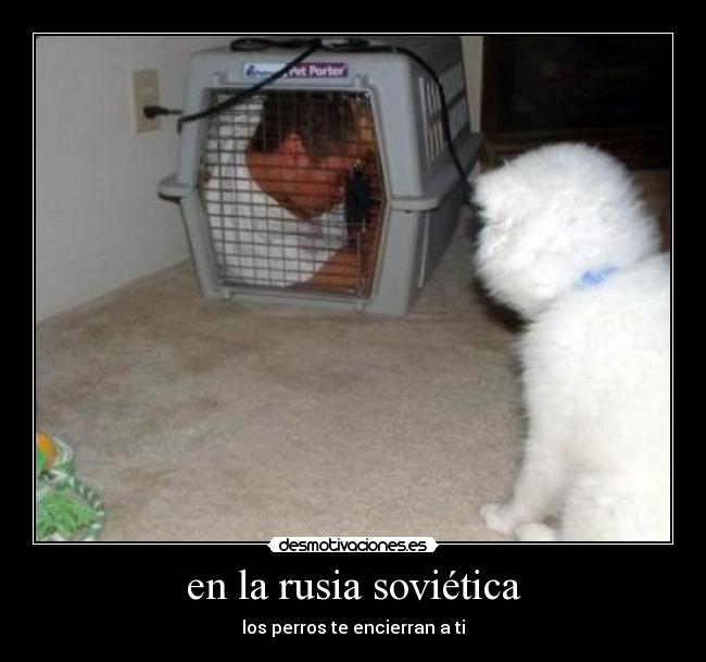 en la rusia soviética -