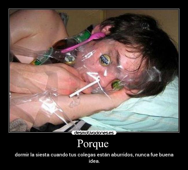 Porque - dormir la siesta cuando tus colegas están aburridos, nunca fue buena idea.