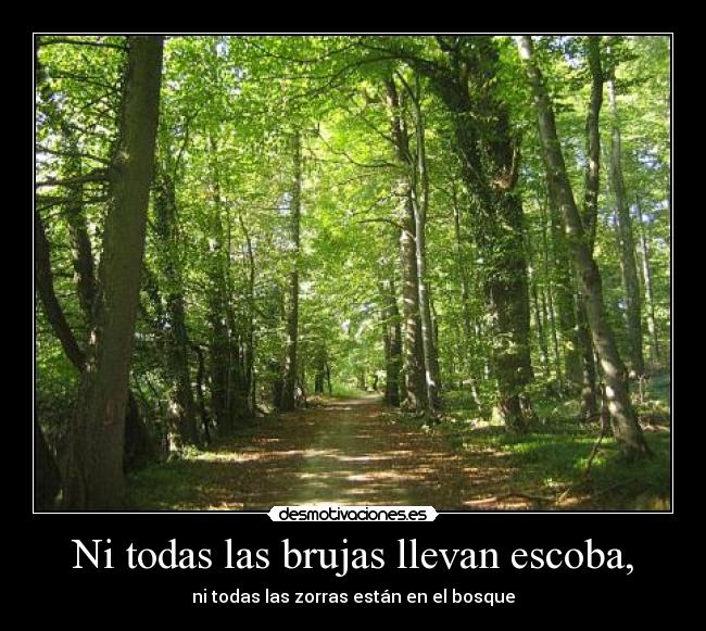 Ni todas las brujas llevan escoba, -