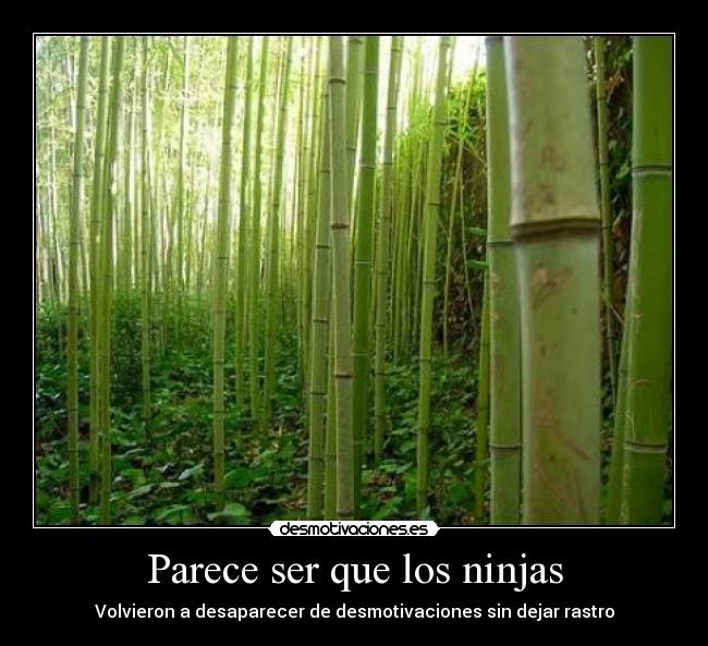 Parece ser que los ninjas - 