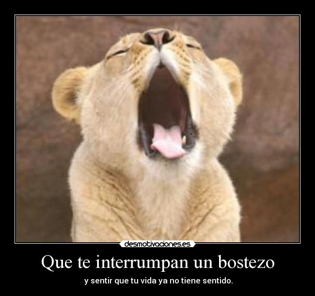 carteles bostezo interrumpir vida sentido desmotivaciones