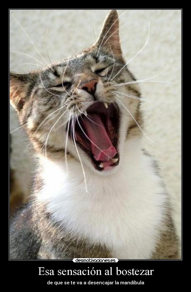 Esa sensación al bostezar - 