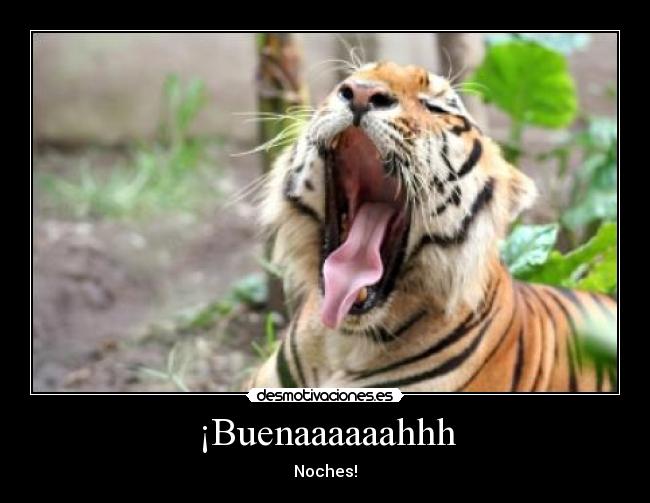 ¡Buenaaaaaahhh - Noches!