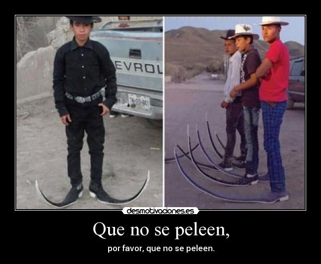 Que no se peleen, - por favor, que no se peleen.