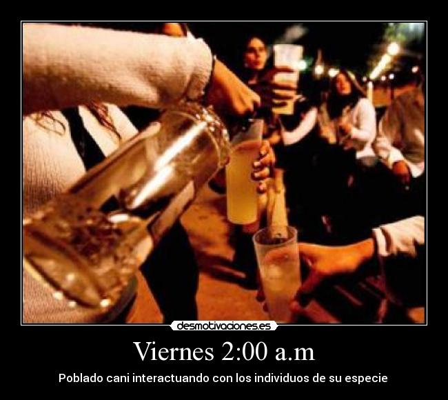 Viernes 2:00 a.m - Poblado cani interactuando con los individuos de su especie 