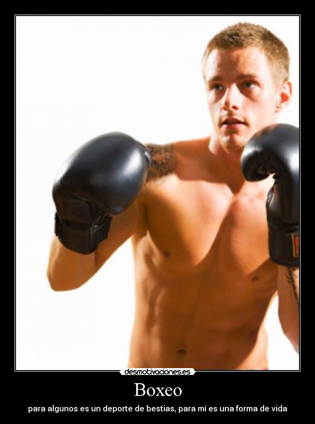 Boxeo - 