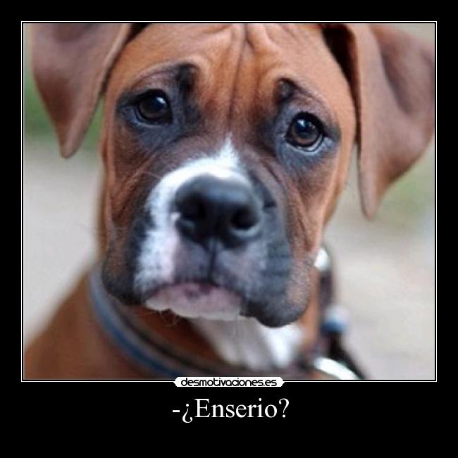 -¿Enserio? -