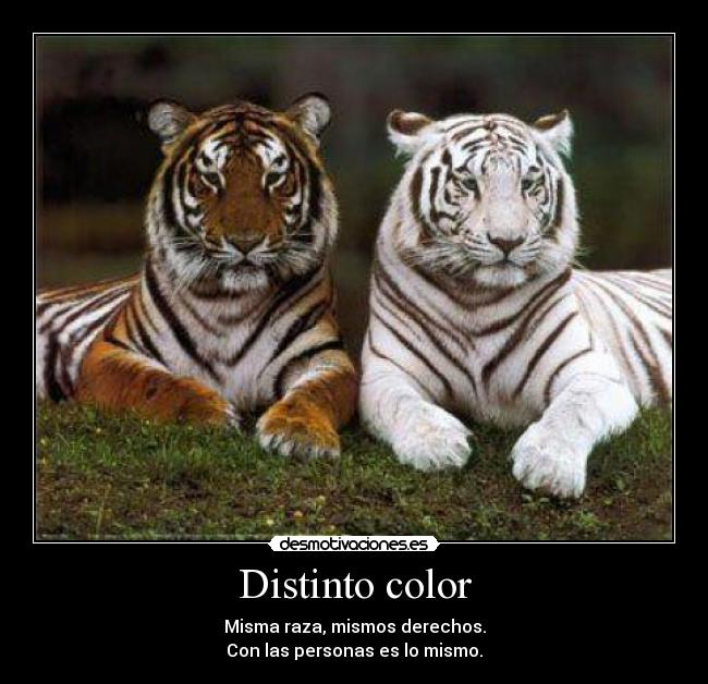 Distinto color - 