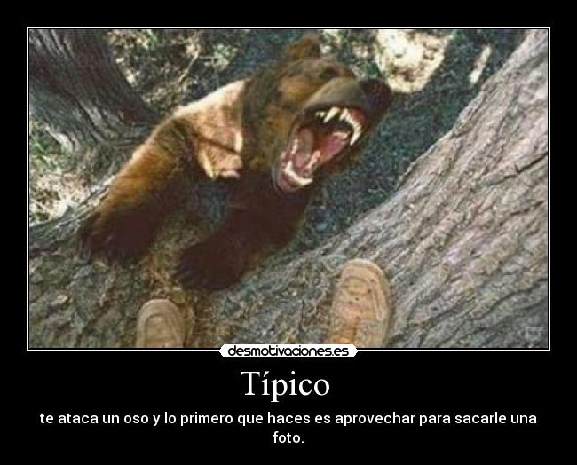 Típico -