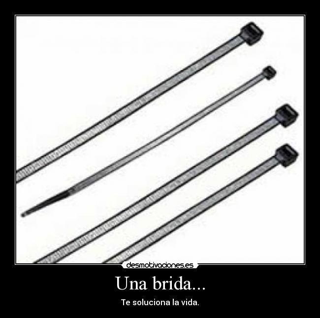 Una brida... - Te soluciona la vida.