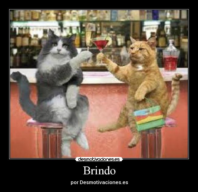 Brindo -