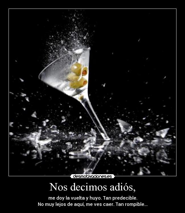 carteles prodigal adios vuelta huyo predecible rompible bla bla bla yber one republic desmotivaciones