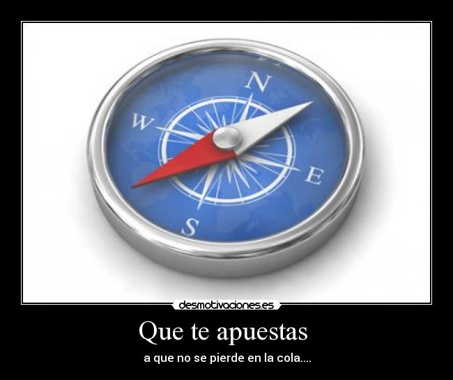 Que te apuestas - a que no se pierde en la cola....