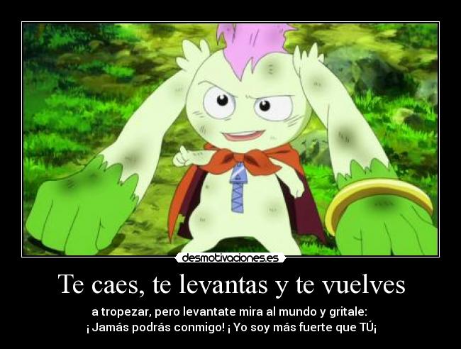 Te caes, te levantas y te vuelves -
