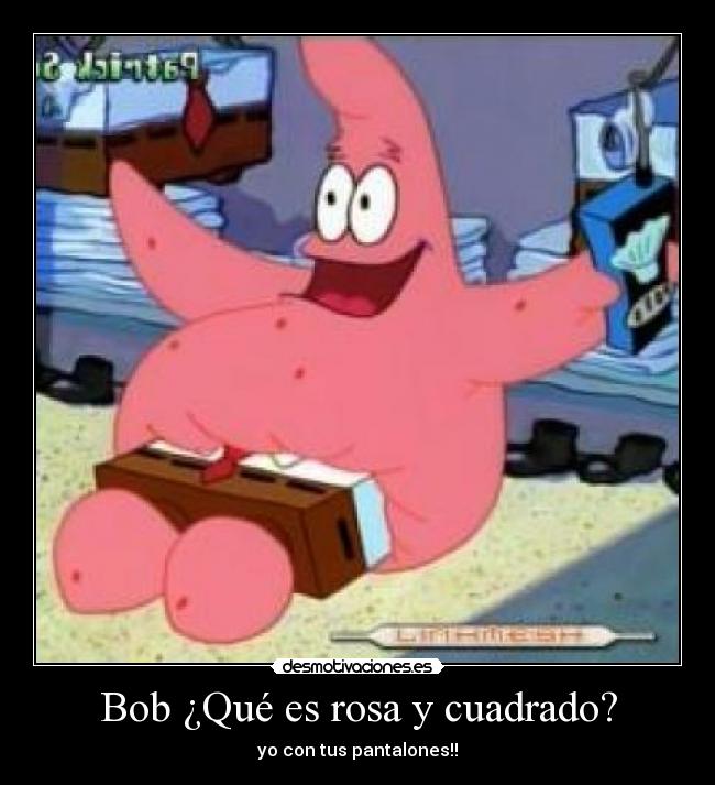 Bob ¿Qué es rosa y cuadrado? - 
