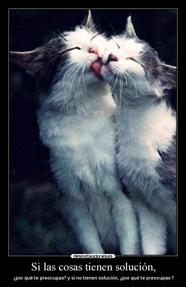 Si las cosas tienen solución, - ¿por qué te preocupas? y si no tienen solución, ¿por qué te preocupas ?