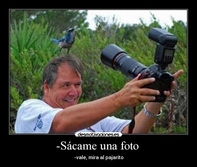 -Sácame una foto - -vale, mira al pajarito