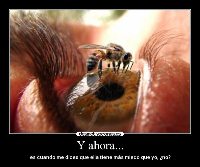 carteles bgb desmotivaciones