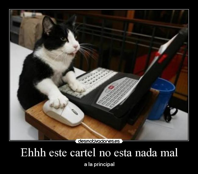 Ehhh este cartel no esta nada mal - a la principal