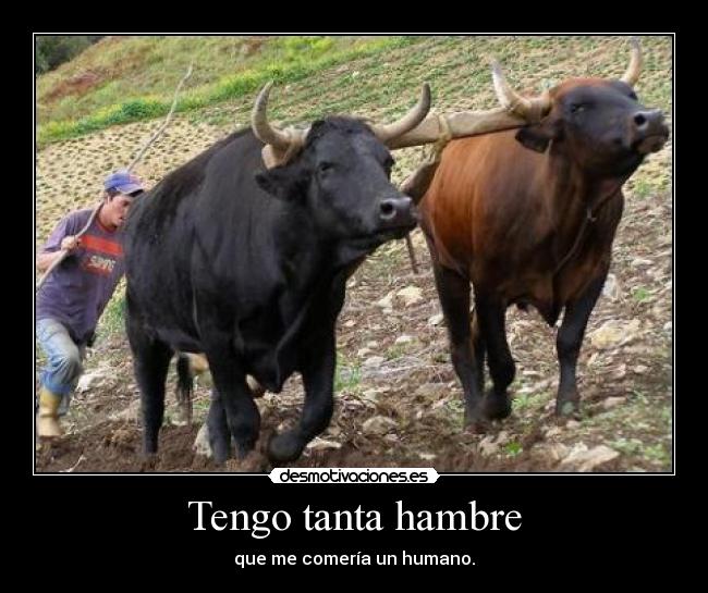 Tengo tanta hambre - que me comería un humano.