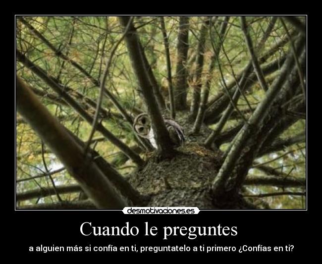 carteles cuando preguntar alguien confiar desmotivaciones