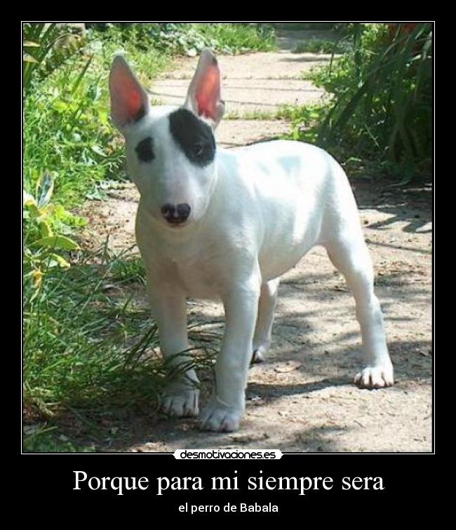 Porque para mi siempre sera -