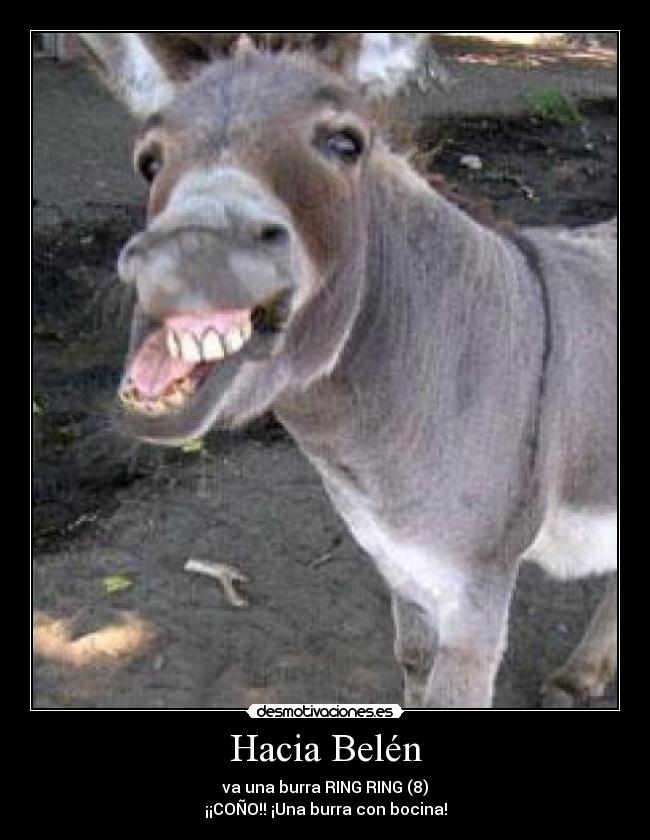 carteles burra bocina belen bici desmotivaciones