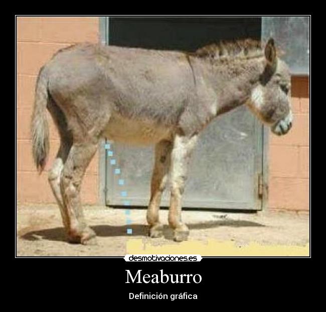 Meaburro - Definición gráfica