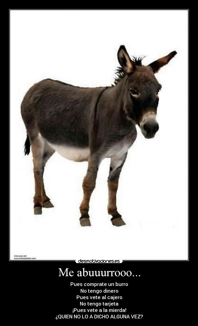 Me abuuurrooo... -